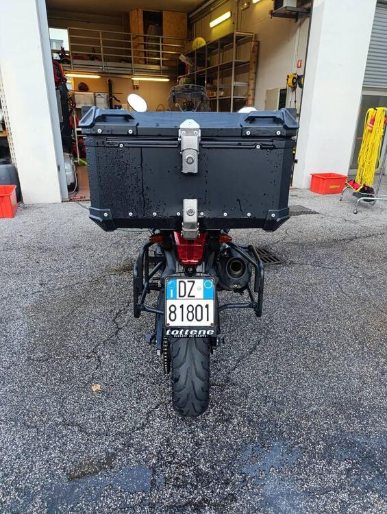 Triumph Tiger 800 ABS (2010 - 14) (3)