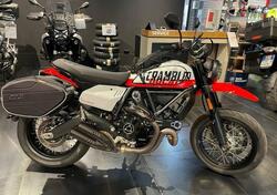 Ducati Scrambler 800 Icon (2021 - 22) usata