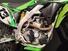 Kawasaki KX 450 F (2009) (18)