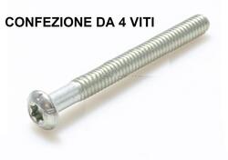 kit 4 viti parafango posteriore Dyna Switchback da 