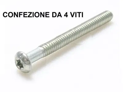 kit 4 viti parafango posteriore Softail Low Rider 