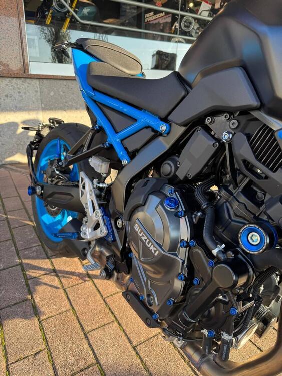 Suzuki GSX-8S (2023 - 24) (4)