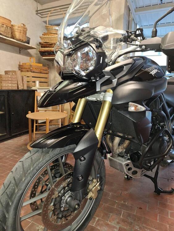 Triumph Tiger 800 ABS (2010 - 14) (3)
