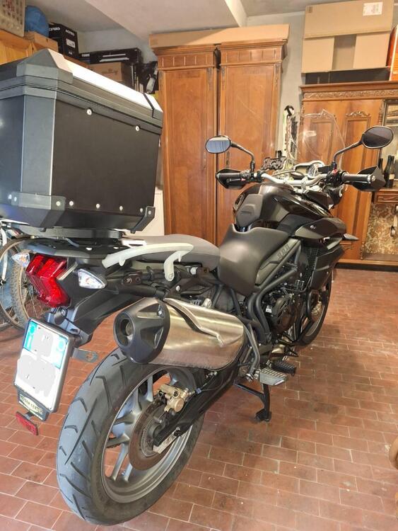 Triumph Tiger 800 ABS (2010 - 14) (4)