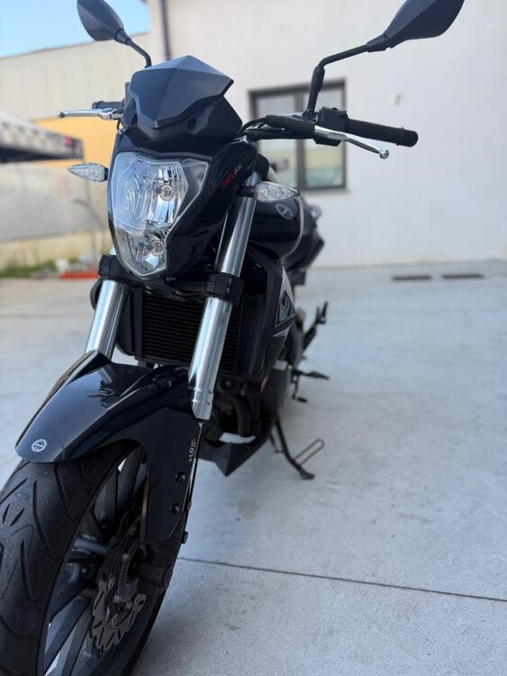 Benelli BN 302 (2017 - 19) (2)