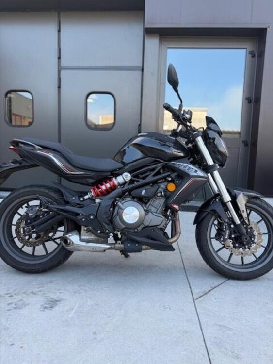 Benelli BN 302 (2017 - 19)