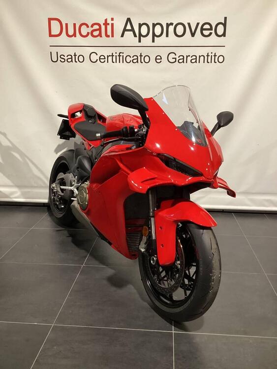 Ducati Panigale V4 (2025) (2)