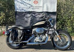 Harley-Davidson 1200 Roadster (2002 - 05) - XL 1200R usata