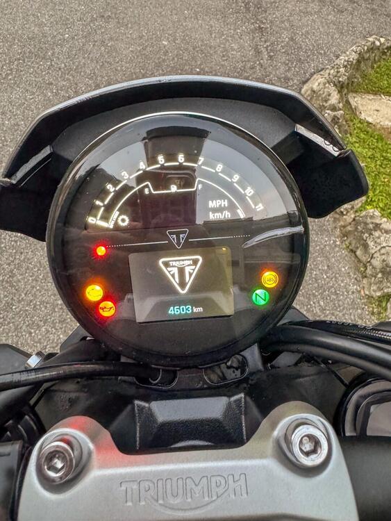 Triumph Trident 660 (2021 - 24) (5)