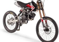  Altre moto o tipologie Special usata