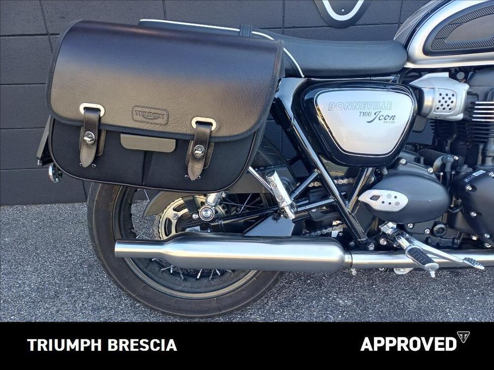 Triumph Bonneville T100 Icon Edition (2025) (4)