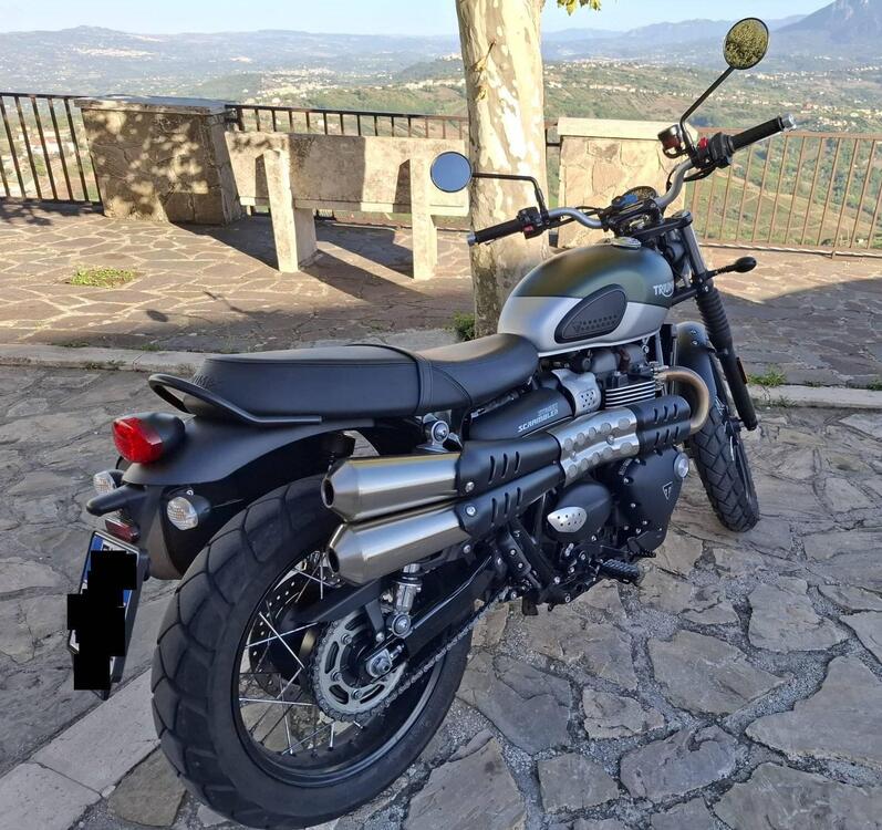 Triumph Street Scrambler 900 (2021 - 22) (4)
