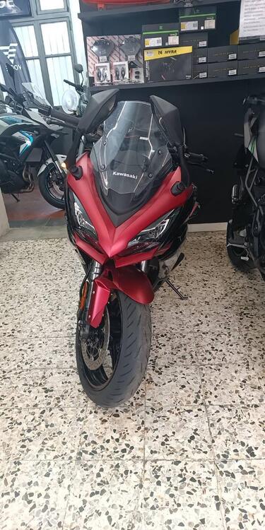 Kawasaki Ninja 1000 SX Tourer (2021 - 24) (4)
