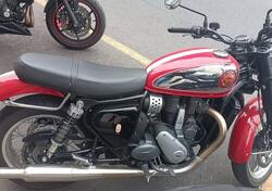 Bsa Gold Star 650 (2024 - 25) usata