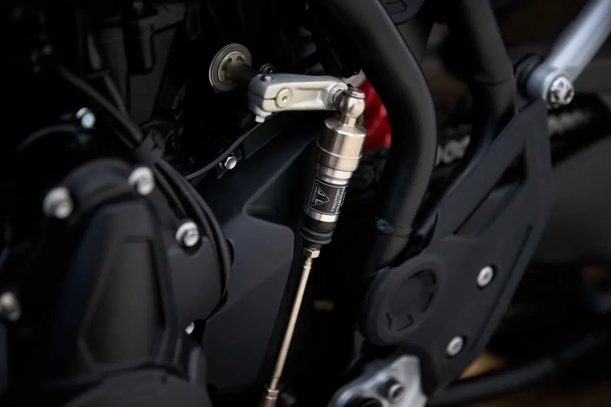 Triumph Tiger 900 e 1200: arrivano le Alpine e Desert Edition 2026 (30)