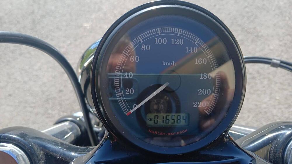 Harley-Davidson 1200 Forty-Eight (2010 - 15) (4)