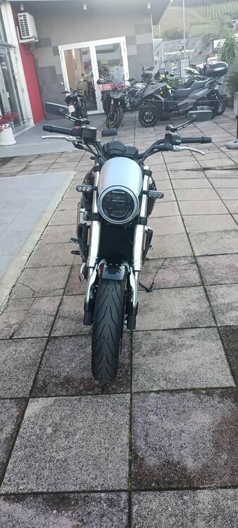 QJ Motor SRV 550 (2024)