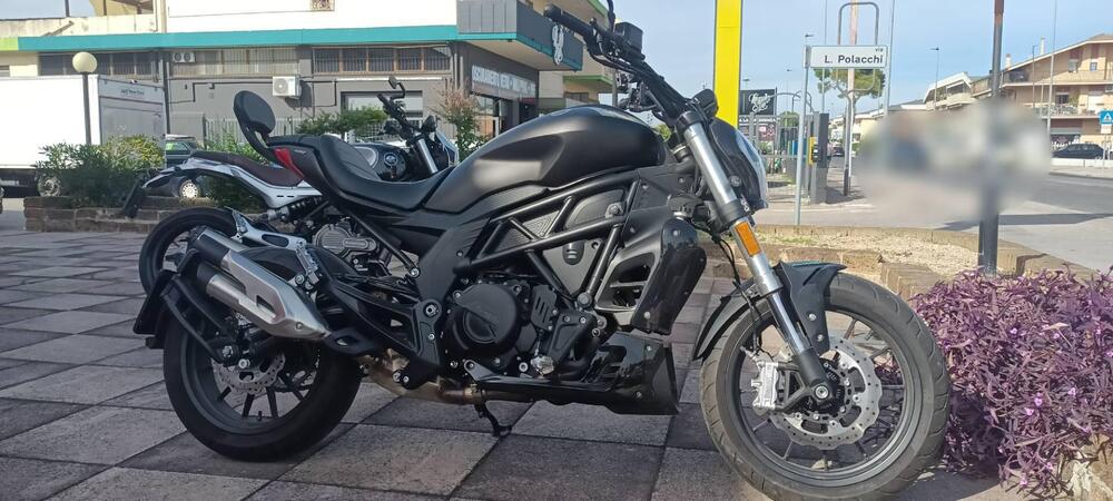 Benelli 502 C (2021 - 25) (2)