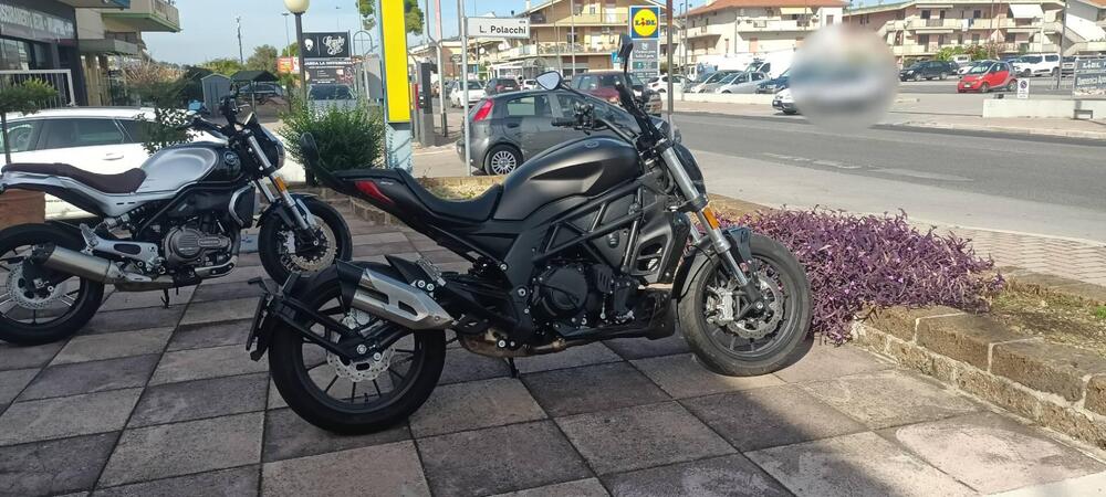 Benelli 502 C (2021 - 25) (4)