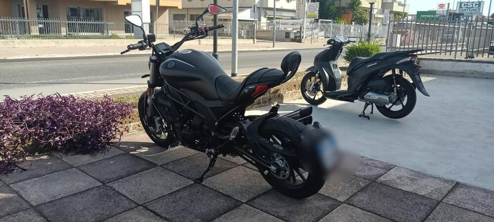 Benelli 502 C (2021 - 25) (5)