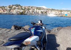 Suzuki GSX-R1000 (2005 - 06) usata