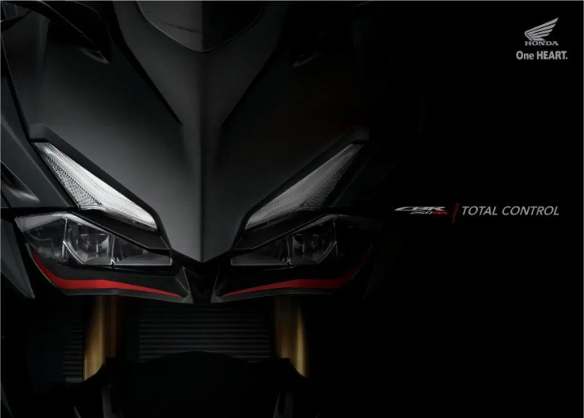 Honda CBR 250 RR. Ieri, oggi e la storia che cambia (6)
