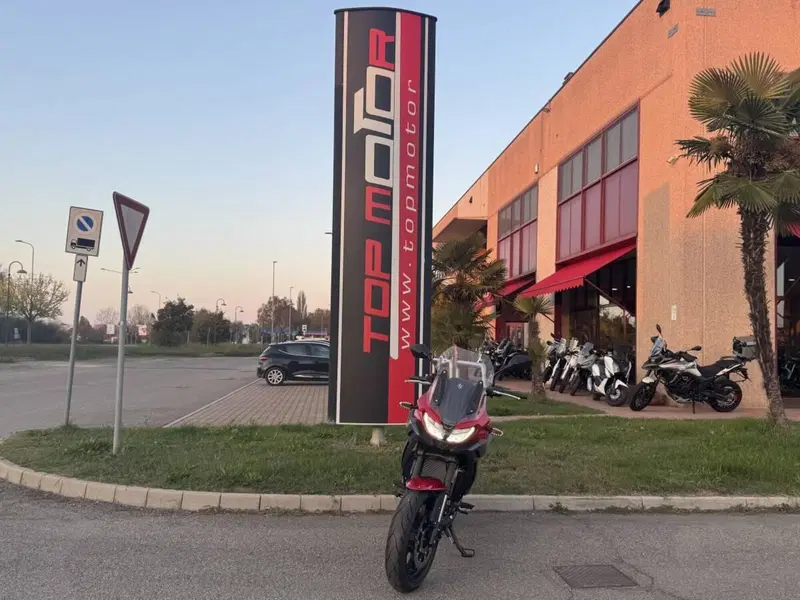 Cyclone RX650 (2025 - 26) (2)