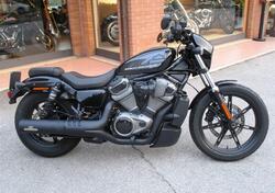 Harley-Davidson Nightster (2023 - 25) usata