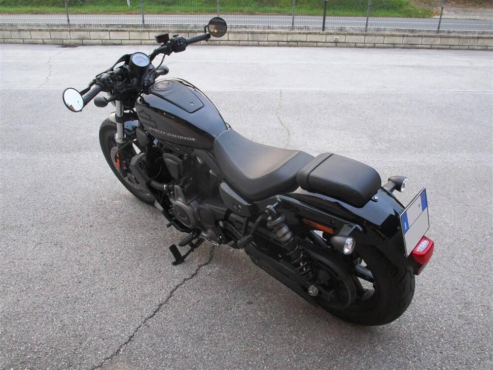 Harley-Davidson Nightster (2023 - 25) (4)