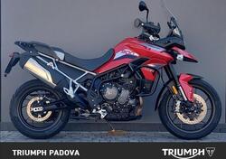 Triumph Tiger 900 GT Pro (2020 - 23) usata
