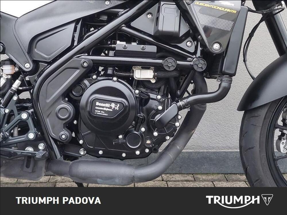 Benelli Leoncino 250 (2021 - 25) (3)