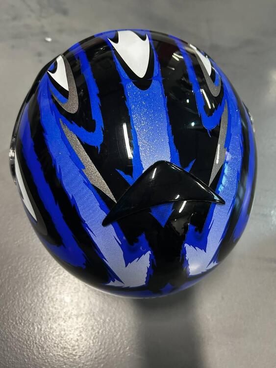 S500 POWDER Shark (3)