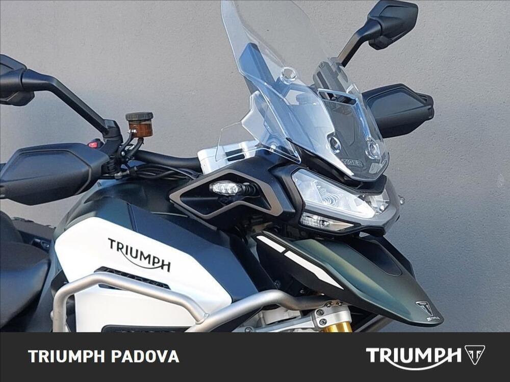 Triumph Tiger 1200 Rally Explorer (2022 - 23) (5)