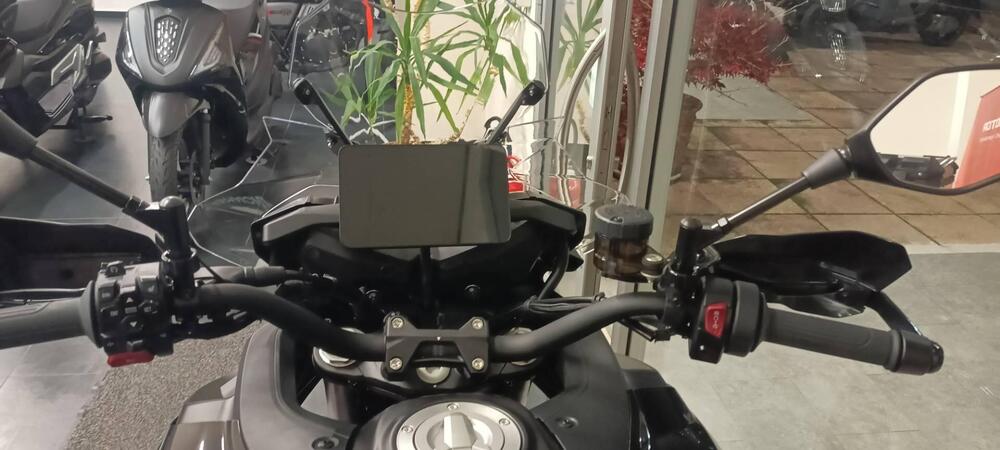 QJ Motor SRT 900 SX (2025) (3)