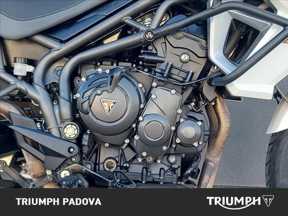 Triumph Tiger 800 XRx (2015 - 17) (3)