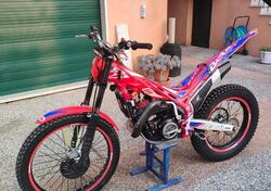 Betamotor Evo 300 2t Factory (2017) usata