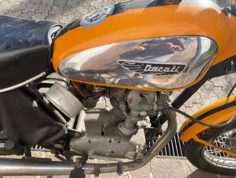 Ducati SCRAMBLER 250 (4)