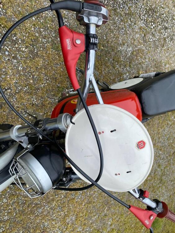 Montesa 250 regolarita (5)