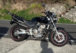 Honda Hornet 600 (2000 - 02) usata