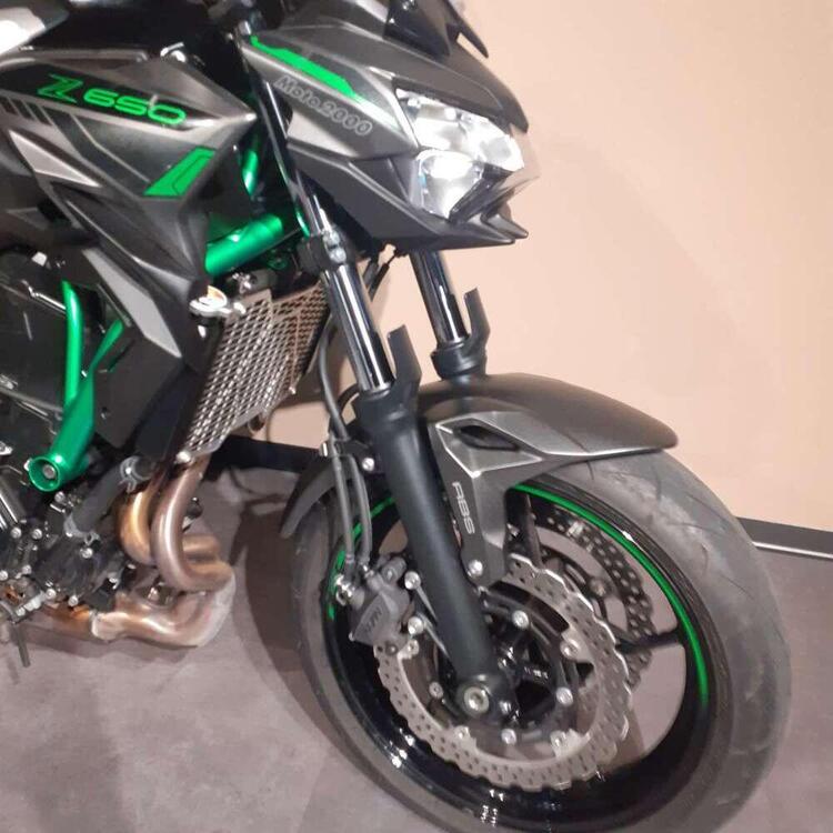 Kawasaki Z 650 (2021 - 24) (5)