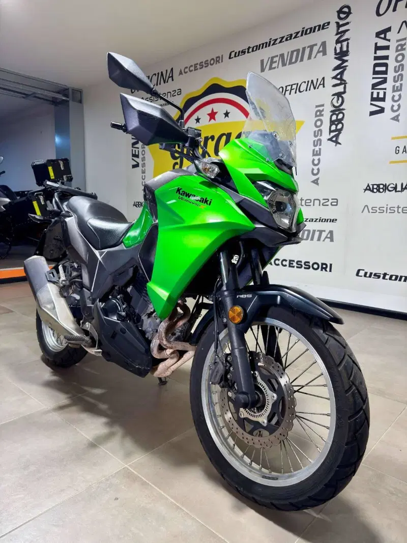 Kawasaki Versys-X 300 (2017 - 20) (2)