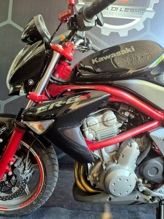 Kawasaki ER-6N (2006 - 09) (5)