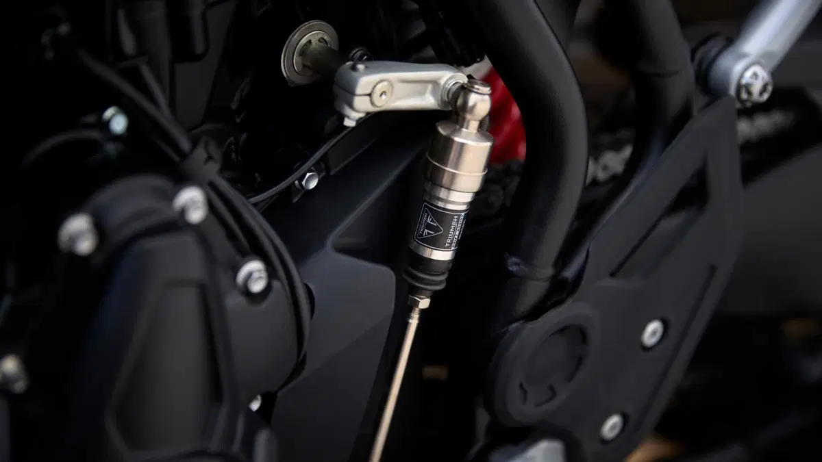 Triumph Tiger 900 Tiger 900 Alpine Special Edition (2026) (14)