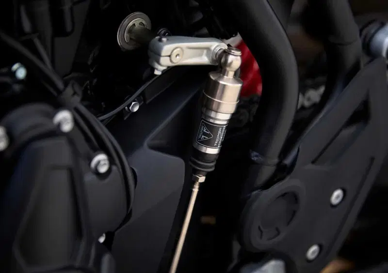 Triumph Tiger 900 Tiger 900 Alpine Special Edition (2026) (14)
