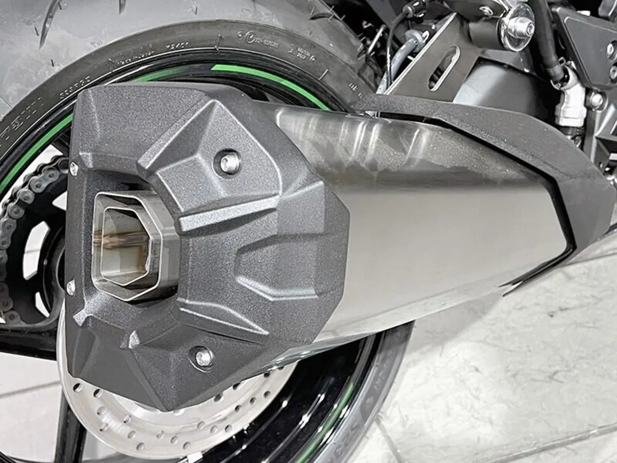 Kawasaki Ninja 1100 SX (2025 - 26) (3)
