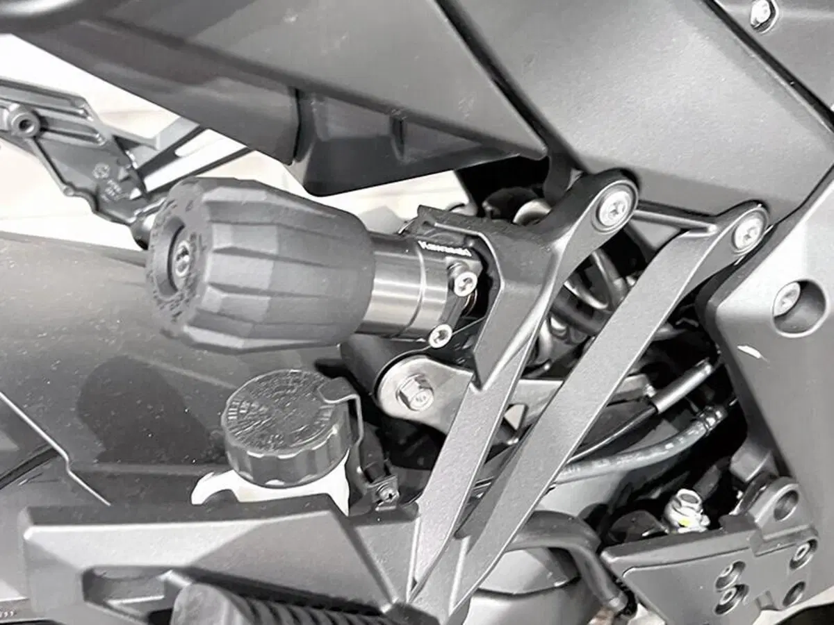 Kawasaki Ninja 1100 SX (2025 - 26) (4)