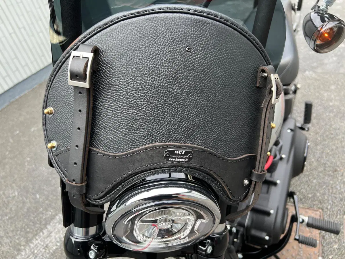 Harley-Davidson Street Bob 114 (2021 - 24) (9)