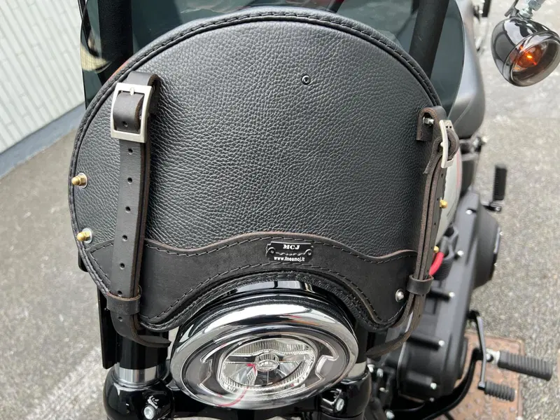Harley-Davidson Street Bob 114 (2021 - 24) (9)