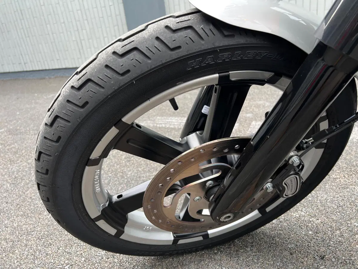 Harley-Davidson Street Bob 114 (2021 - 24) (19)