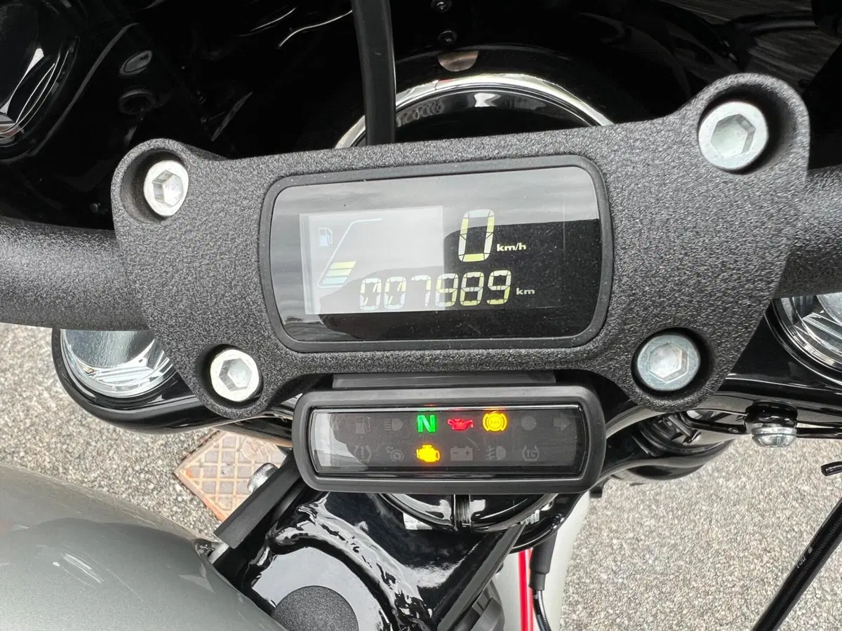 Harley-Davidson Street Bob 114 (2021 - 24) (6)
